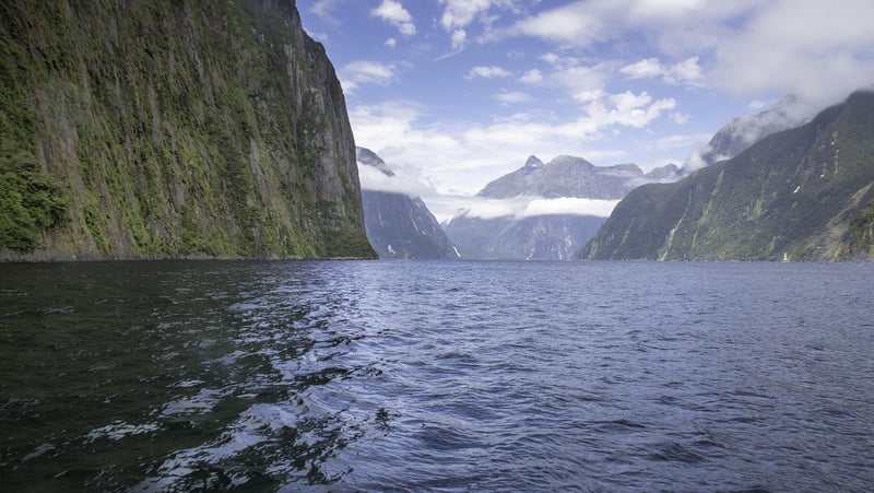 Lush Landscape